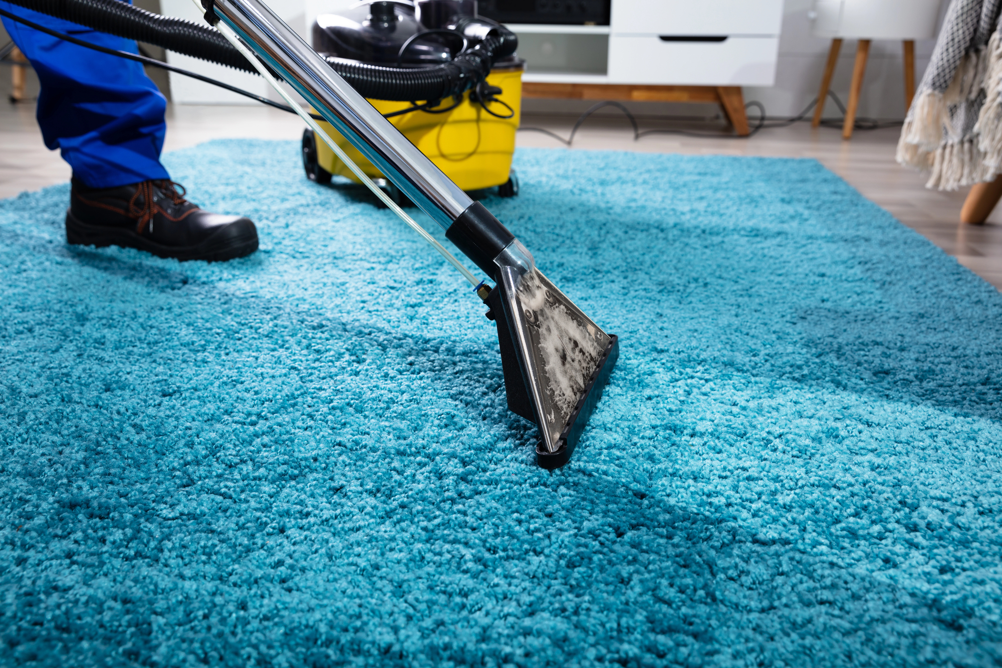 professional carpet cleaning in Norristown technicians