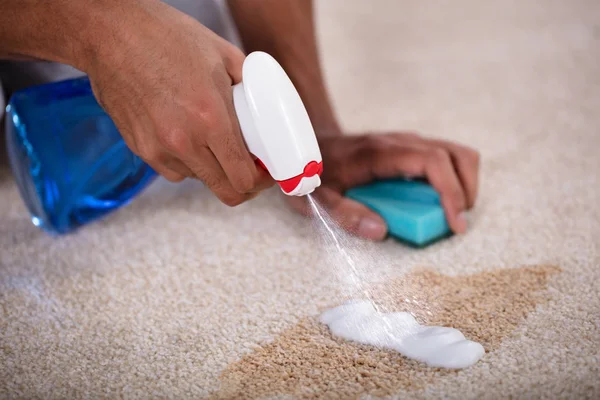stain and odor removal in Norristown